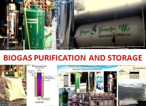 Biogas Purification